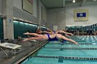 Swimming vs Bentley  Wheaton College Swimming vs Bentley. - Photo By: KEITH NORDSTROM : Wheaton, Swimming, Bentley